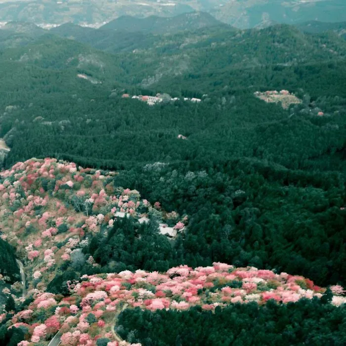 La colorida naturaleza de Japón desde el aire: 30 fotos con dron