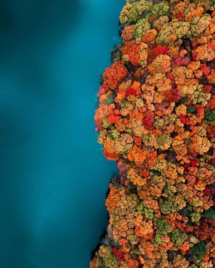 La colorida naturaleza de Japón desde el aire: 30 fotos con dron