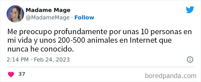 20 Memes dolorosamente divertidos para treintañeros cansados de ser adultos