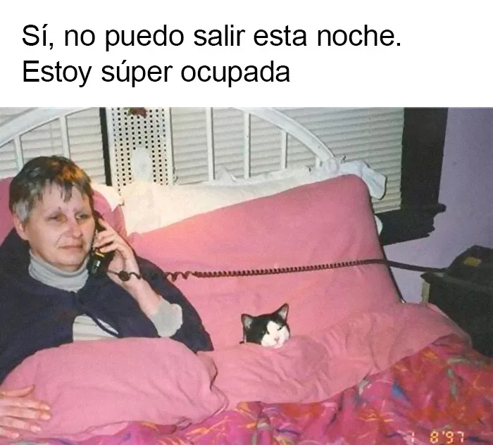 20 Memes dolorosamente divertidos para treintañeros cansados de ser adultos