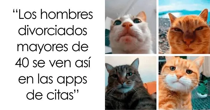 20 Memes dolorosamente divertidos para treintañeros cansados de ser adultos