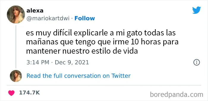 20 Memes dolorosamente divertidos para treintañeros cansados de ser adultos