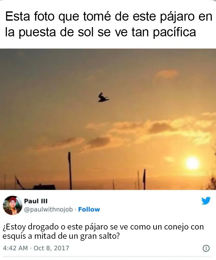 20 Divertidos memes que te harán reír sin control
