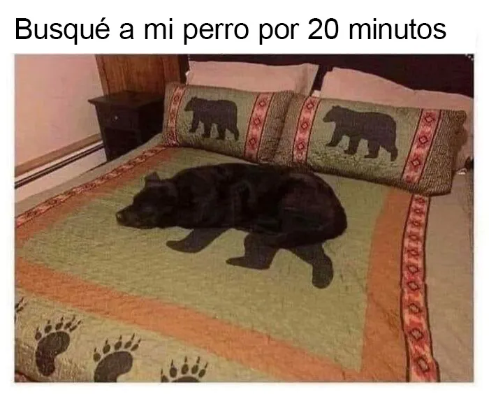 20 Divertidos memes que te harán reír sin control