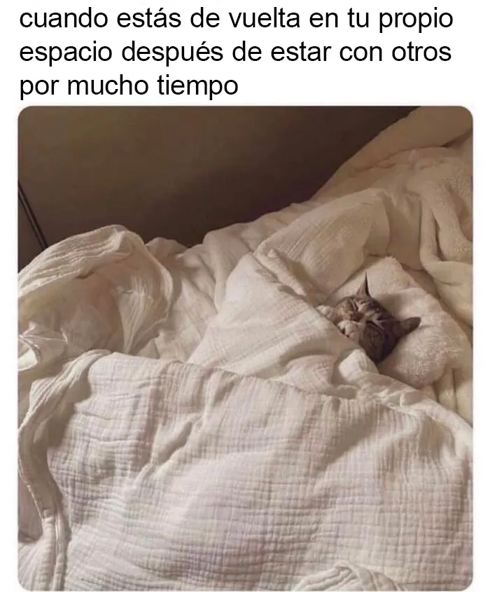 20 Divertidos memes que te harán reír sin control