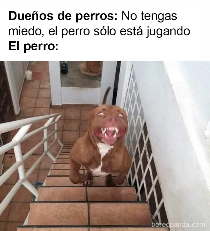 20 Divertidos memes que te harán reír sin control