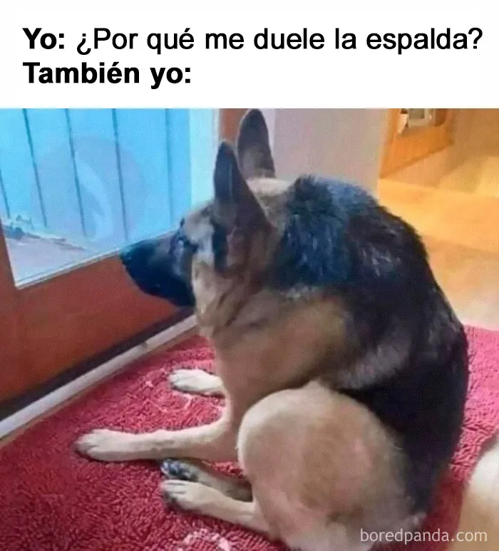 20 Divertidos memes que te harán reír sin control