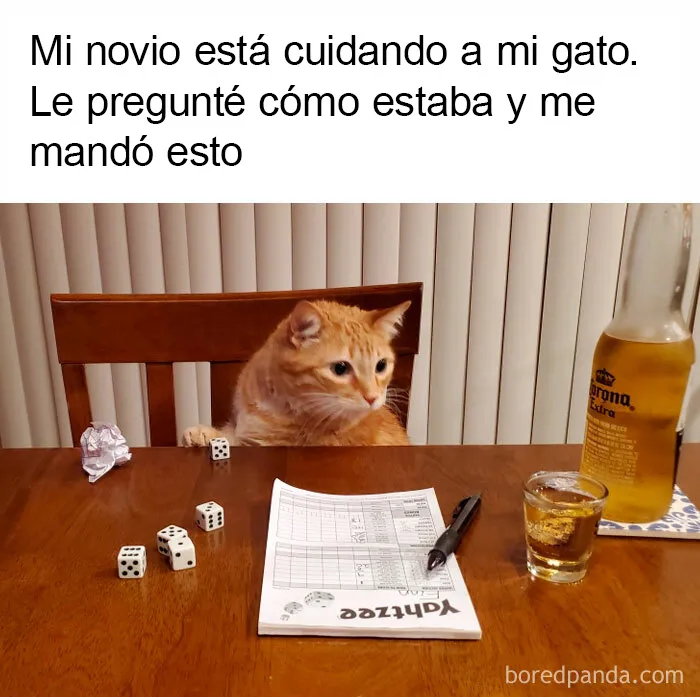 20 Divertidos memes que te harán reír sin control