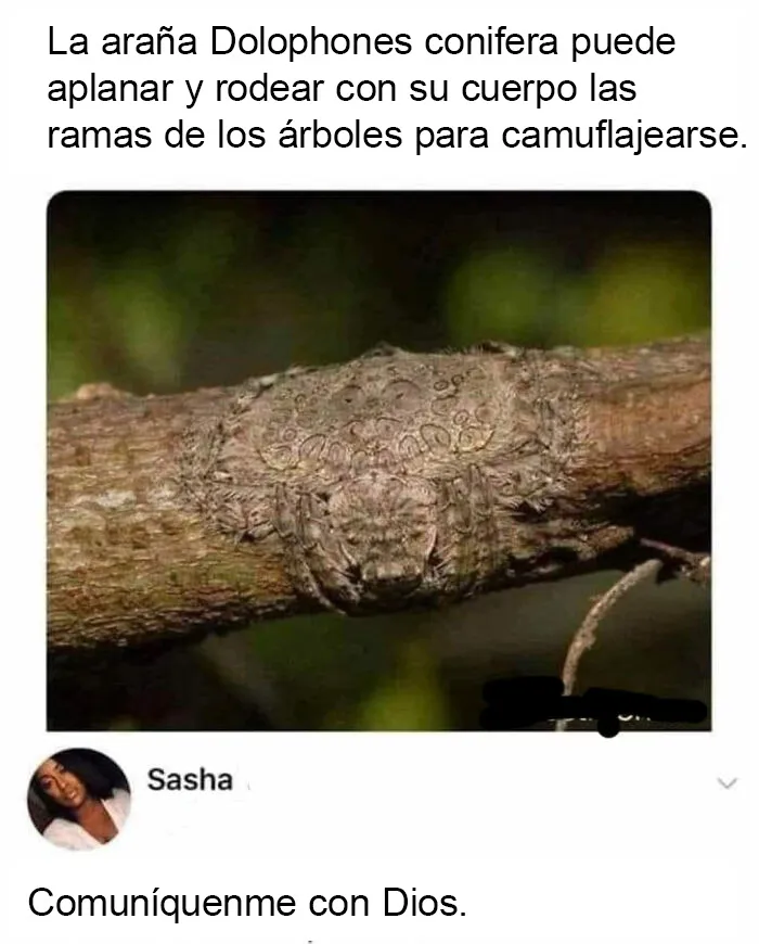 20 Divertidos memes que te harán reír sin control