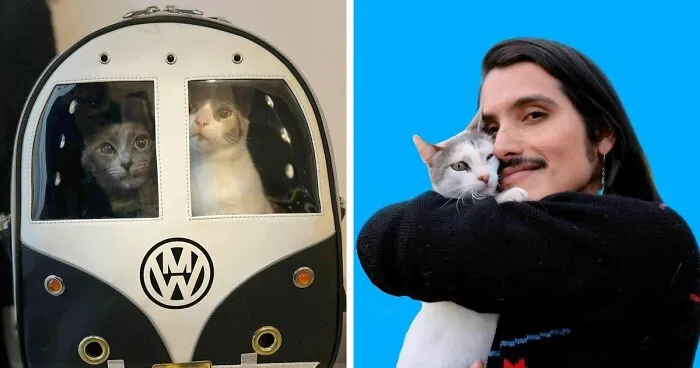 Este tiktoker peruano se ha vuelto popular en toda Latinamérica por salvar todos los gatos posibles