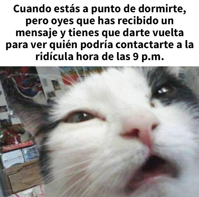 20 Divertidas publicaciones sobre mamás que no se comportan de forma perfecta