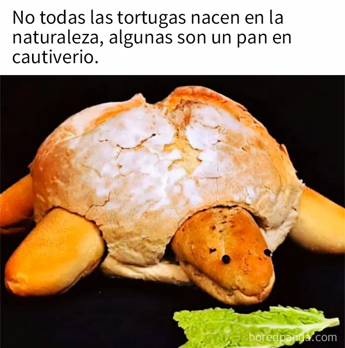 20 Divertidos memes de comida que provocan risa y sacian el apetito