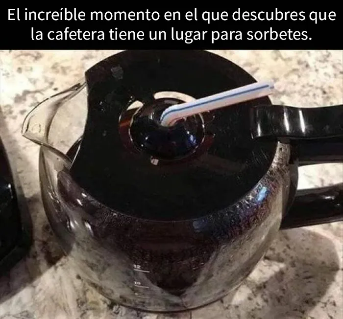 20 Divertidos memes de comida que provocan risa y sacian el apetito