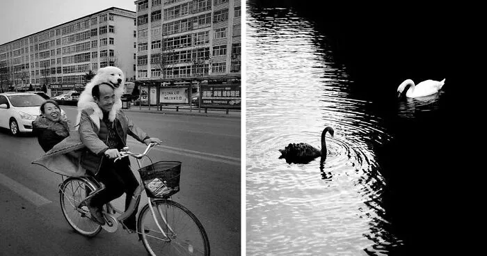 50 Geniales y entretenidas fotos urbanas compartidas en esta cuenta de Instagram