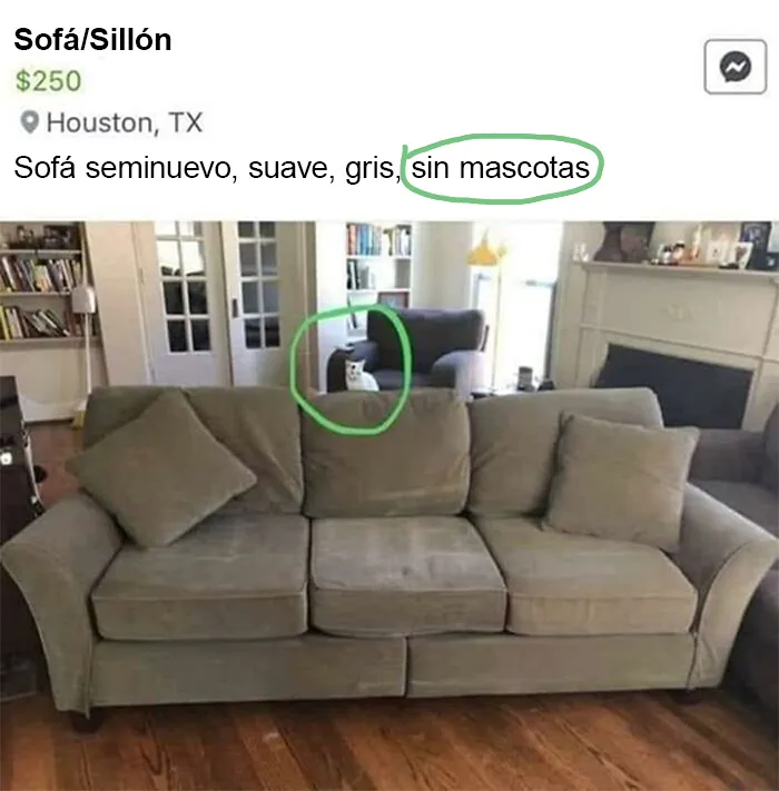 20 Divertidos memes criticando sin remordimientos la "cultura" estadounidense