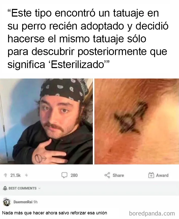 20 Divertidos memes criticando sin remordimientos la "cultura" estadounidense