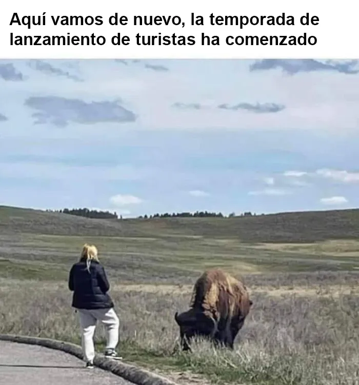 20 Divertidos memes criticando sin remordimientos la "cultura" estadounidense