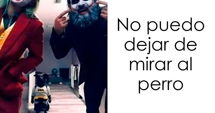 20 Divertidos y reconfortantes memes de animales para alegrarte el día