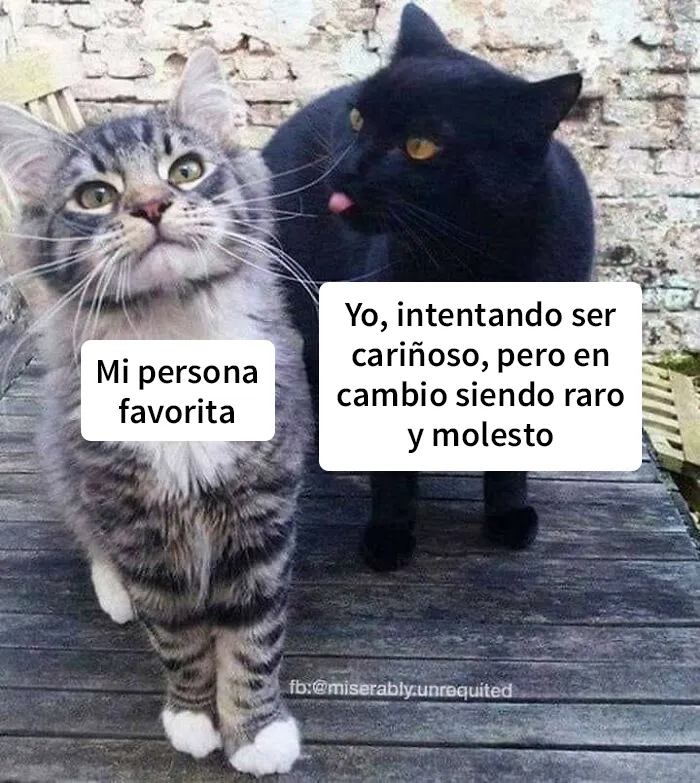 20 Divertidos y preocupantes memes sobre salud mental con los que muchos podrán identificarse