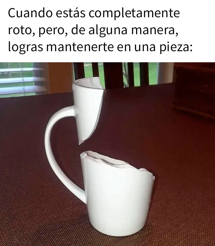 20 Divertidos y preocupantes memes sobre salud mental con los que muchos podrán identificarse