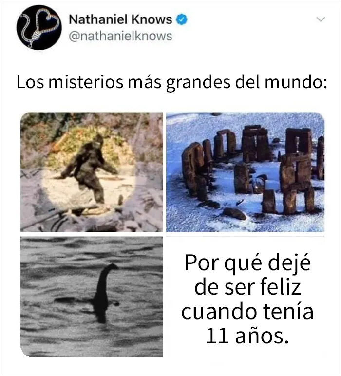 20 Divertidos y preocupantes memes sobre salud mental con los que muchos podrán identificarse
