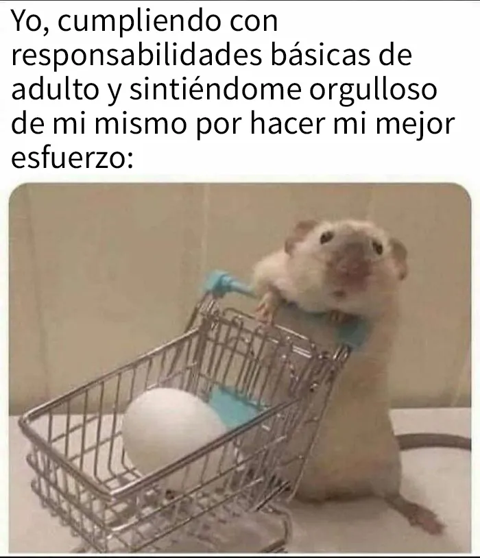 20 Divertidos y preocupantes memes sobre salud mental con los que muchos podrán identificarse