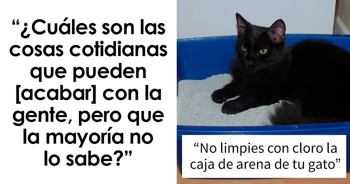 20 Detalles cotidianos inesperadamente peligrosos con los que deberías tener cuidado