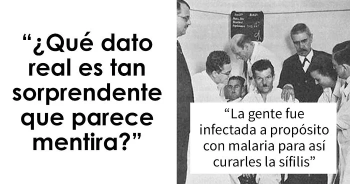 20 Datos totalmente reales que parecen mentira y que te sorprenderán