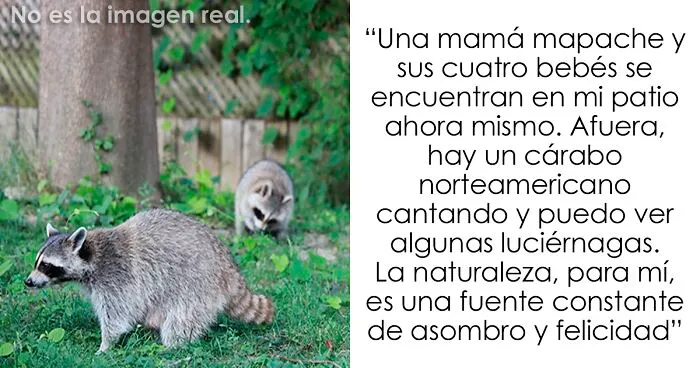 30 Pequeños detalles que hicieron sonreír a la gente
