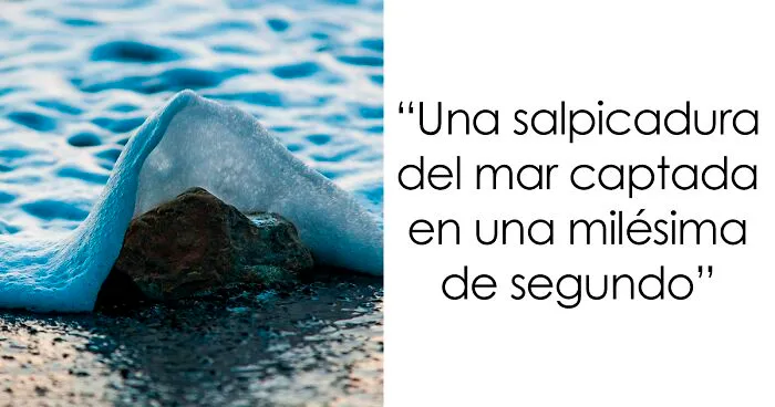 35 Fotos sacadas en el momento justo que tendrás que mirar 2 veces (Nuevas imágenes)