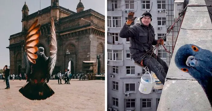 35 Imágenes fascinantes compartidas en este grupo de fotografía urbana