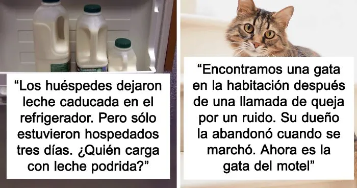 15 Empleados de hoteles comparten sus experiencias más inolvidables con los huéspedes