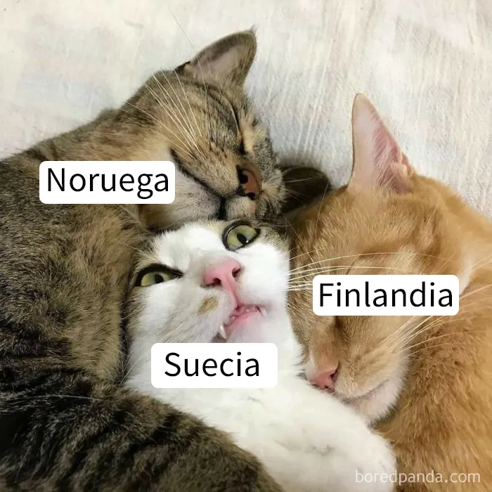 30 Publicaciones sobre Noruega que revelan cómo es la vida allí