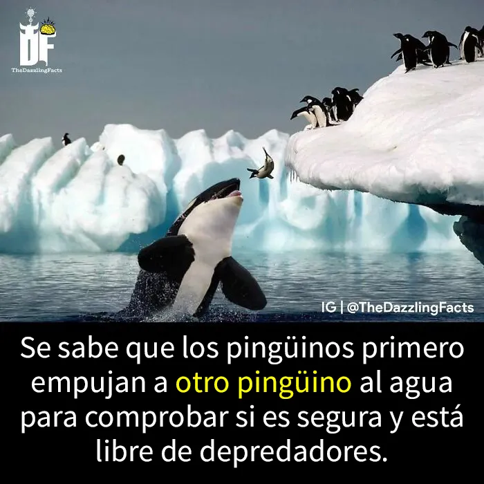 20 Datos "deslumbrantes" e interesantes sobre el mundo