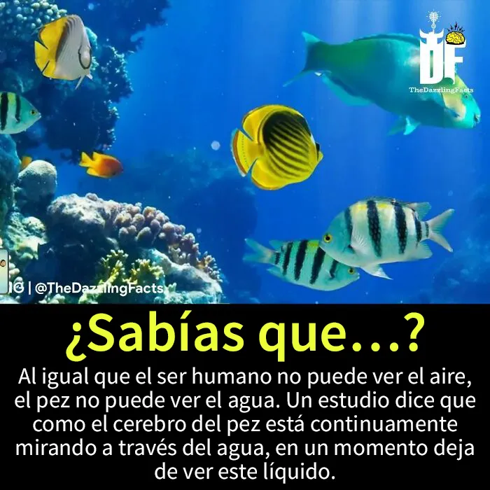 20 Datos "deslumbrantes" e interesantes sobre el mundo