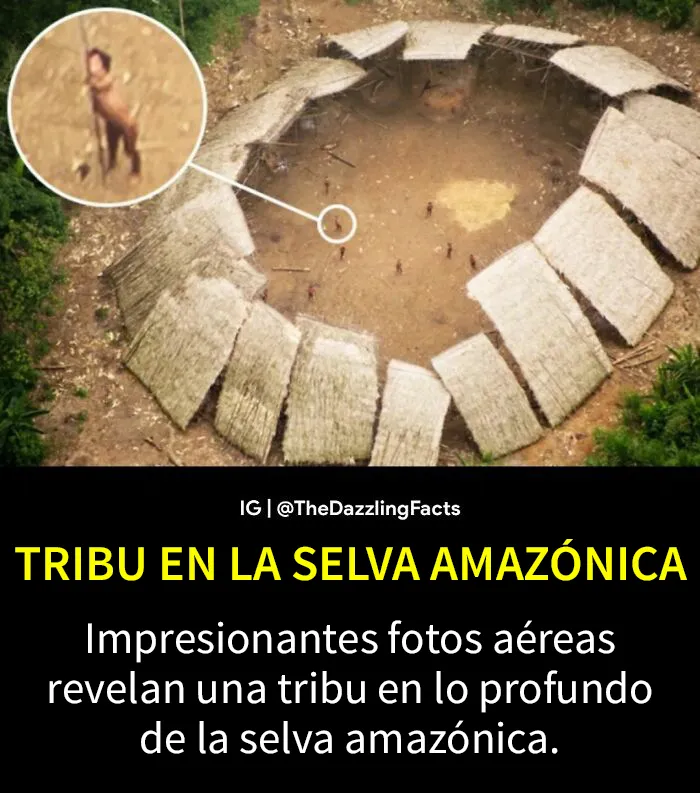 20 Datos "deslumbrantes" e interesantes sobre el mundo