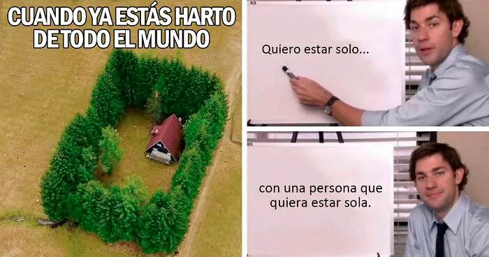 20 Divertidos memes sobre introvertidos realmente acertados