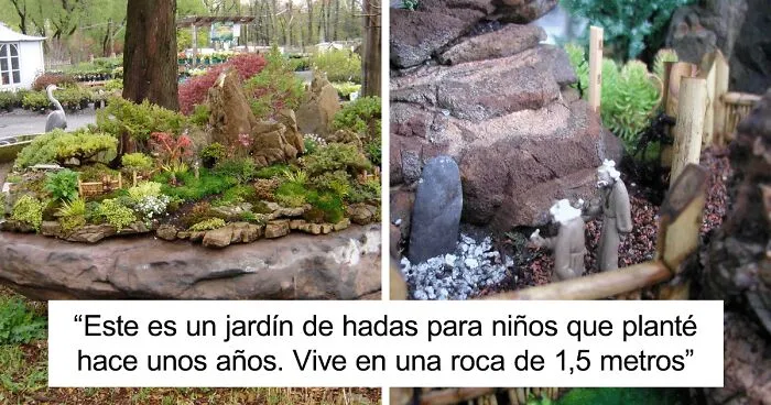 35 De las mejores fotos de este grupo online sobre jardinería (nuevas imágenes)