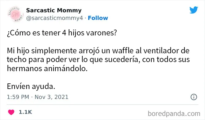 20 Tuits de padres mostrando la loca dinámica de criar hermanos