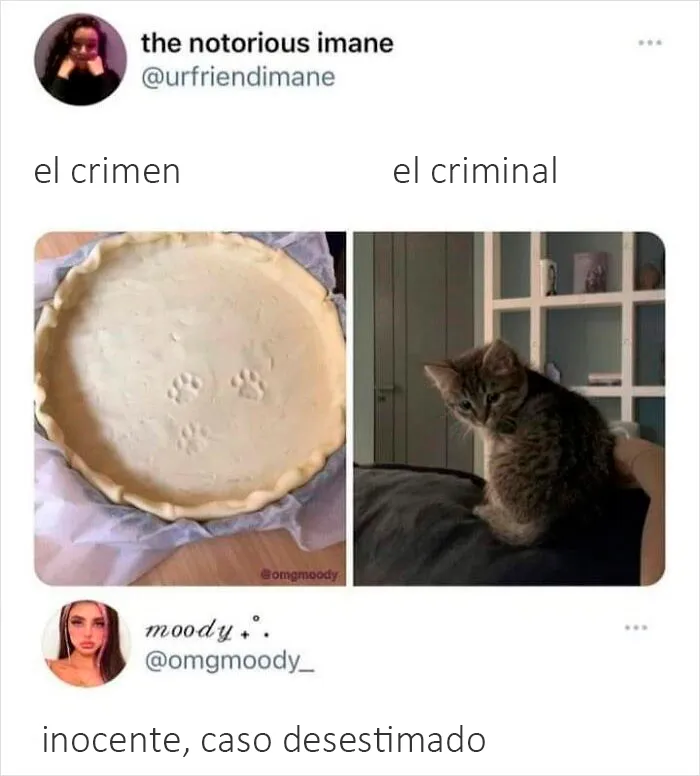20 Imágenes tan reconfortantes que te alegrarán el día