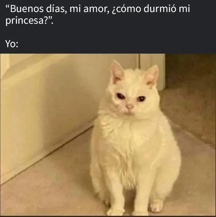20 Divertidas publicaciones sobre “problemas femeninos” con los que muchas mujeres se identificarán