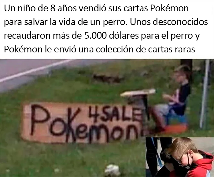 20 Divertidos y reconfortantes memes de animales para alegrarte el día