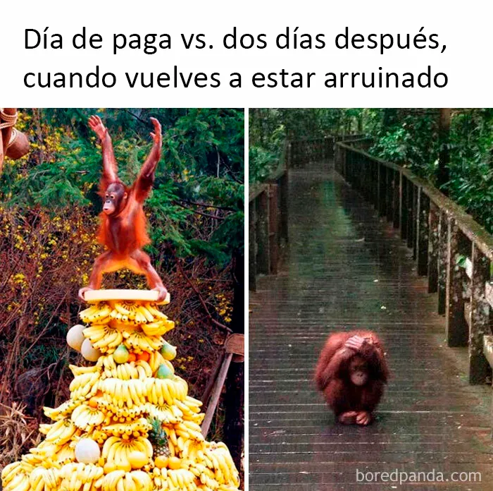 20 Divertidos memes sobre dinero que son dolorosamente ciertos