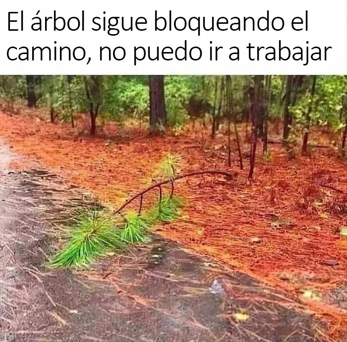 20 Divertidos memes que te atacan personalmente