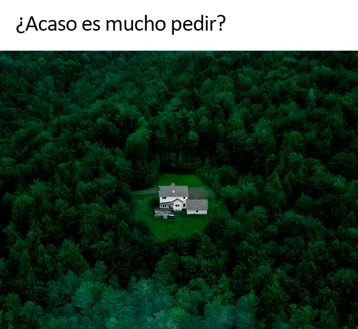 20 Divertidos memes sobre introvertidos realmente acertados