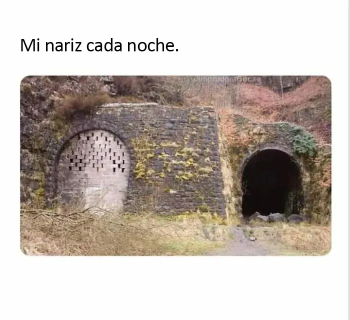 20 Divertidos memes que te atacan personalmente