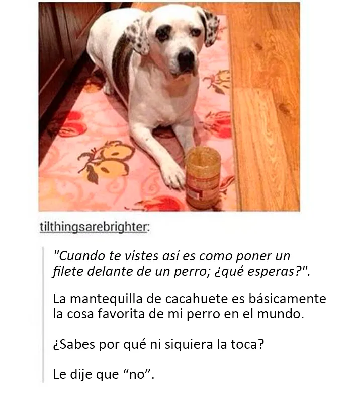 20 Divertidos y reconfortantes memes de animales para alegrarte el día