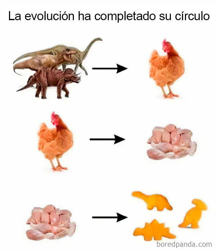 Círculo completo