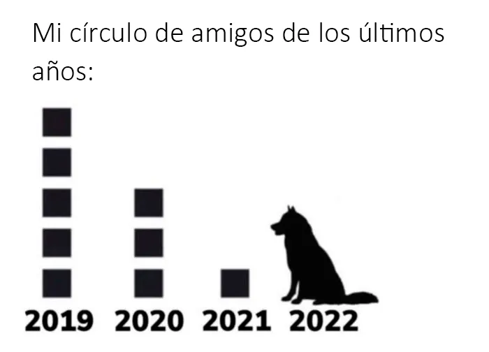 20 Divertidos memes sobre introvertidos realmente acertados