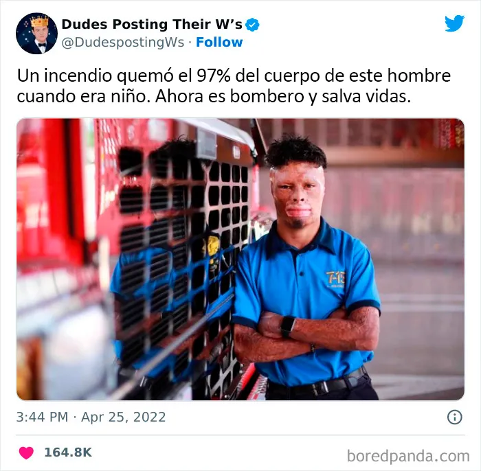20 Imágenes tan reconfortantes que te alegrarán el día
